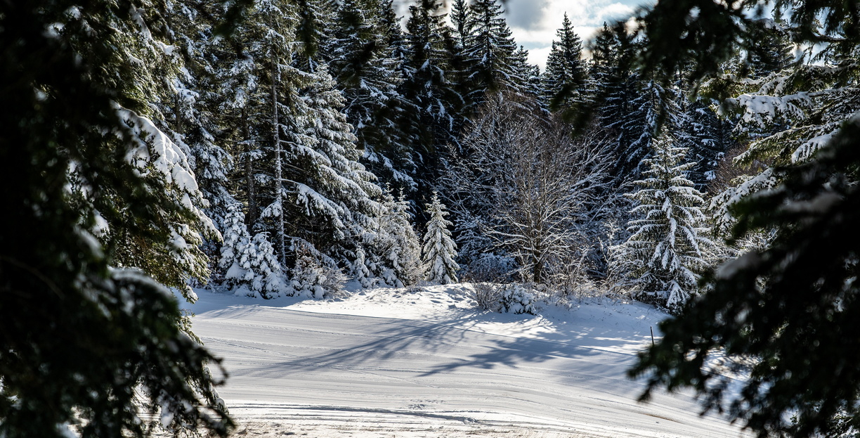 sports-d-hiver-sur-le-plateau
